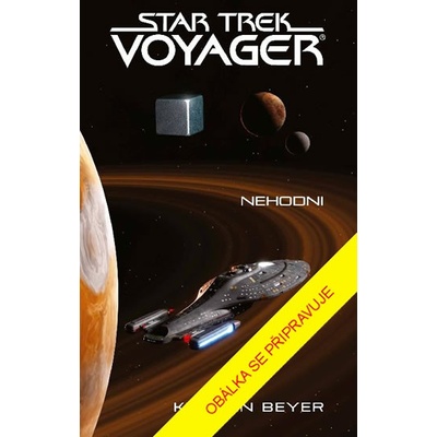 Star Trek: Voyager – Nehodni - Beyer Kirsten
