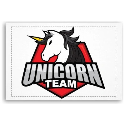 Fotoobraz 60x40 cm malý Unicorn team