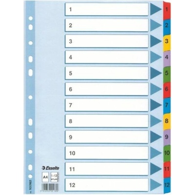 Register, kartón, A4, 1-12, ESSELTE "Mylar"