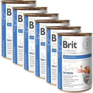 Brit Брит Ветеринарни Диети GF котка + куче Възстановяване сьомга 6 x 400 г
