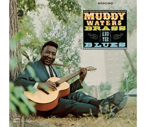 MUDDY, BRASS & THE BLUES