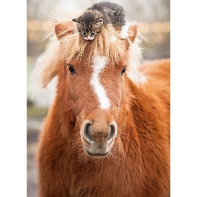 Ravensburger - Puzzle Kitten and Horse - 500 piese