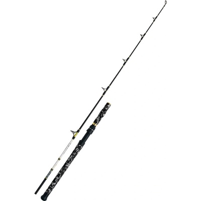 WFT CatBuster Boat 2,4 m 150-600 g 1+1 díl