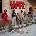 War - Now Playing (Red Coloured) (LP) (0603497826056)