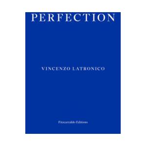 Perfection (ISBN: 9781804271049)
