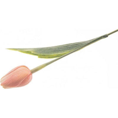Květina UH tulipán broskvový 40 cm