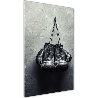 Vertikálny foto obraz sklo tvrdené Boxerske rukavice 50x100 cm
