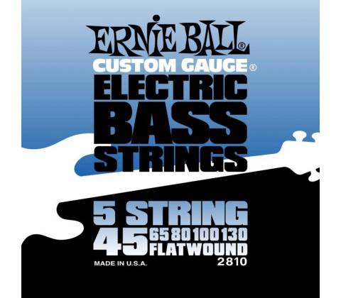 Ernie Ball 2810