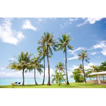 DIMEX ART s. r. o Флизелинов фототапет палми на плажа 375 x 250 см