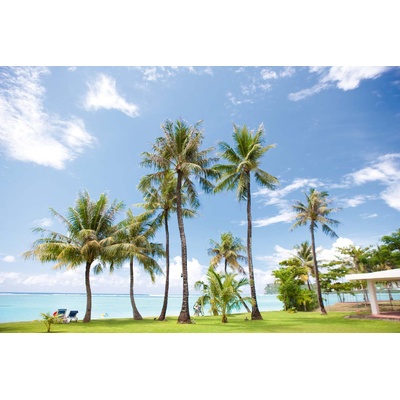 DIMEX ART Флизелинов фототапет палми на плажа 375 x 250 см