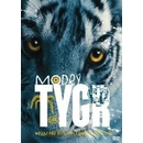 Filmy modrý tygr DVD