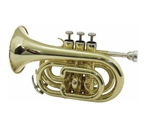 Dimavery TP-300