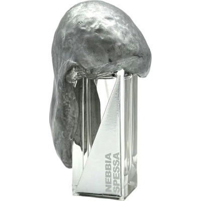 Filippo Sorcinelli Nebbia Spessa Extrait de Parfum 50 ml Tester