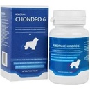 Vitamíny a doplnky stravy pre psov Univit Roboran Chondro 6 60 tbl