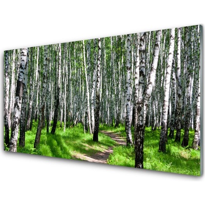 Obraz na skle Stromy Tráva Příroda 100x50 cm