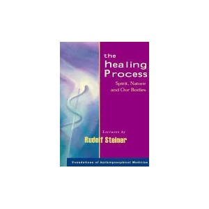 Healing Process | Rudolf Steiner (ISBN: 9780880106412)