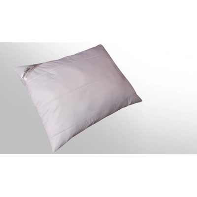 2G Lipov vankúš Rosalinda 500g zip 50x70