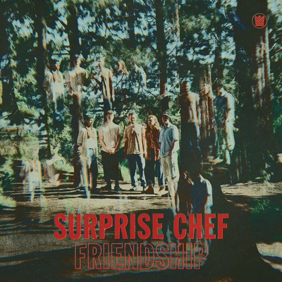 Surprise Chef - Friendship LP