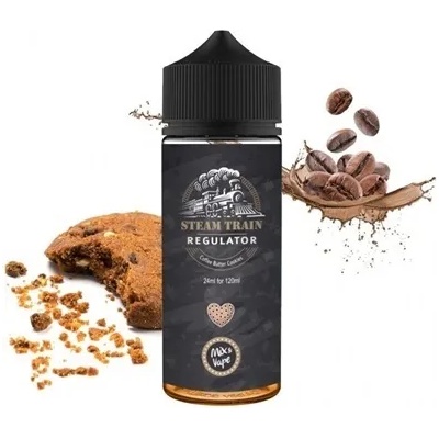 Steam Train - Regulator 24/120ml