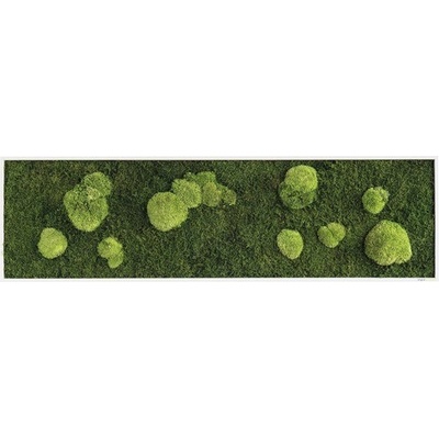 Mechový obraz styleGREEN lesní mech a mechové koule 140x40cm