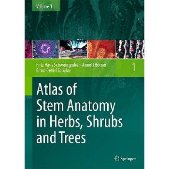 Atlas of Stem Anatomy in Herbs, Shrubs and Trees | Fritz H. Schweingruber, Annett Börner, Ernst-Detlef Schulze