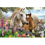 Schmidt Spiele - Puzzle Mare and foal 150 - 150 piese