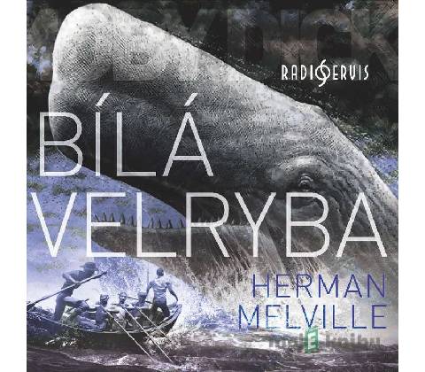Bílá velryba