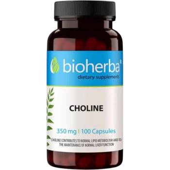 Image 1 of Bioherba Choline 350 mg [100 капсули]