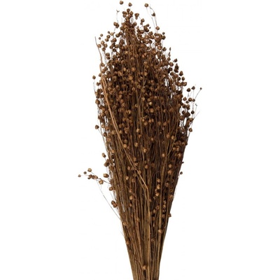Sušené květy béžové 60 cm (100 gr) – 60 cm