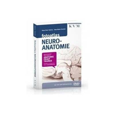 Fotoatlas Neuroanatomie, m. DVD