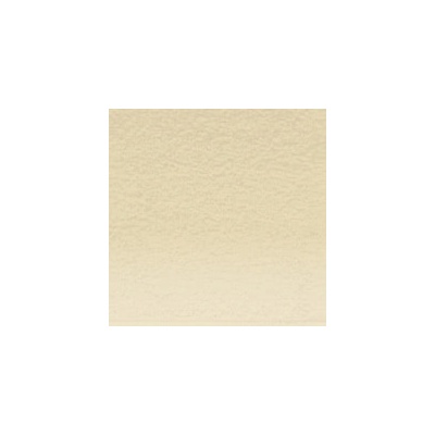 Derwent Pastel v tužce P490 pale olive – Zboží Dáma