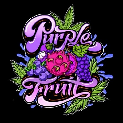 Sumo Seeds Purple Fruit semienka neobsahujú THC 3 ks