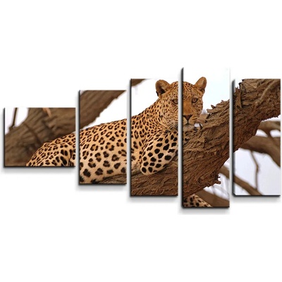 Sablio Obraz - 5-dílný Leopard 2 - 100x60 cm