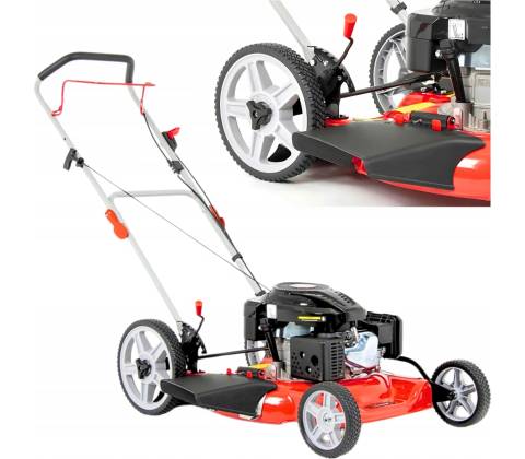 Faworyt CJ55P196LBW