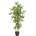 Bizzotto ИЗКУСТВЕНО РАСТЕНИЕ bamboo 130cm ЗЕЛЕНО (0172384)