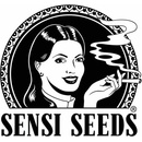 Sensi Seeds Super Skunkmatic semena neobsahují THC 3 ks