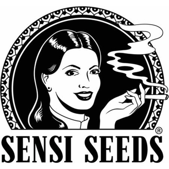 Sensi Seeds Super Skunkmatic semena neobsahují THC 3 ks