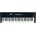 KORG PS 60