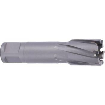 !!!! ABSE N-CA-W19-0245050
