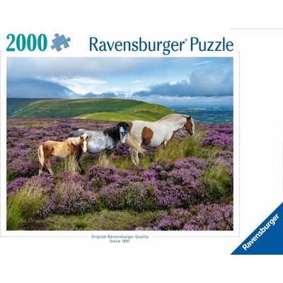 RAVENSBURGER Divé kone 2000 dielov