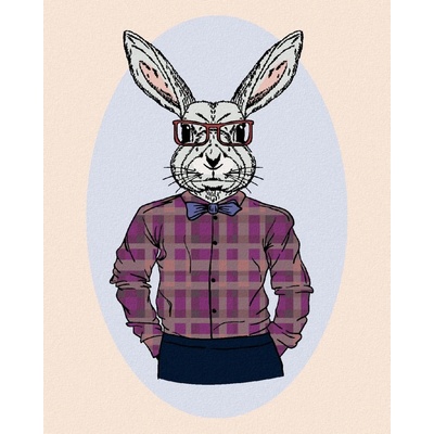 Malování podle čísel Králík hipster