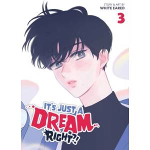 ITS JUST A DREAM RIGHT V03 (ISBN: 9798895612132)