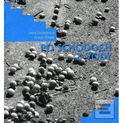 Po schodoch z vody