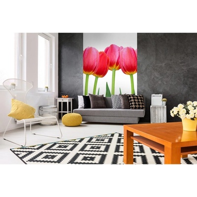 Dimex MS-2-0126 vliesová fototapeta na zeď Tulipány rozměry 150 x 250 cm