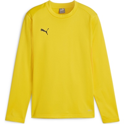 PUMA Суитшърт Puma teamGOAL Training Sweat Jr 658651-07 Размер 116