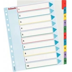 Esselte Binder holders for A4 Mylar with descriptive page (10K200A)