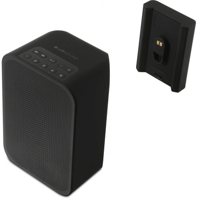 Bluesound BP100 (Pulse Flex 2i Battery Pack)
