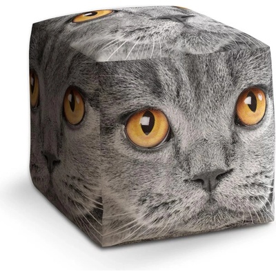 Sablio Taburet Cube Kočičí pohled: 40x40x40 cm