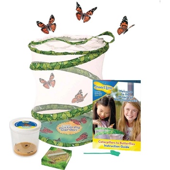 Insect Lore Motýlí zahrádka 3 5 housenek Butterfly Garden