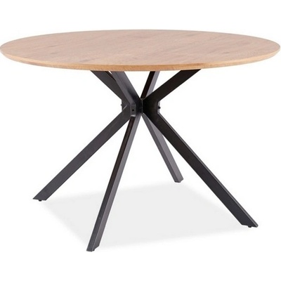 Signal Aster 120 cm dub černá